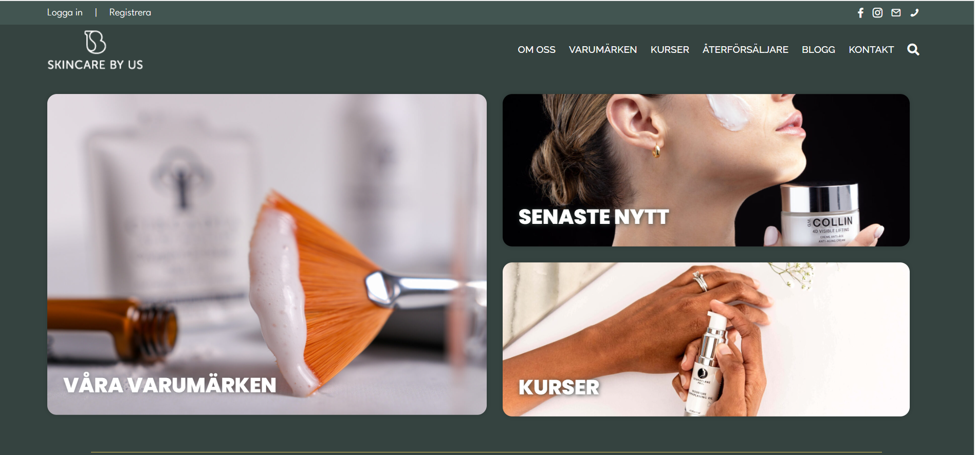 e-commerce website example