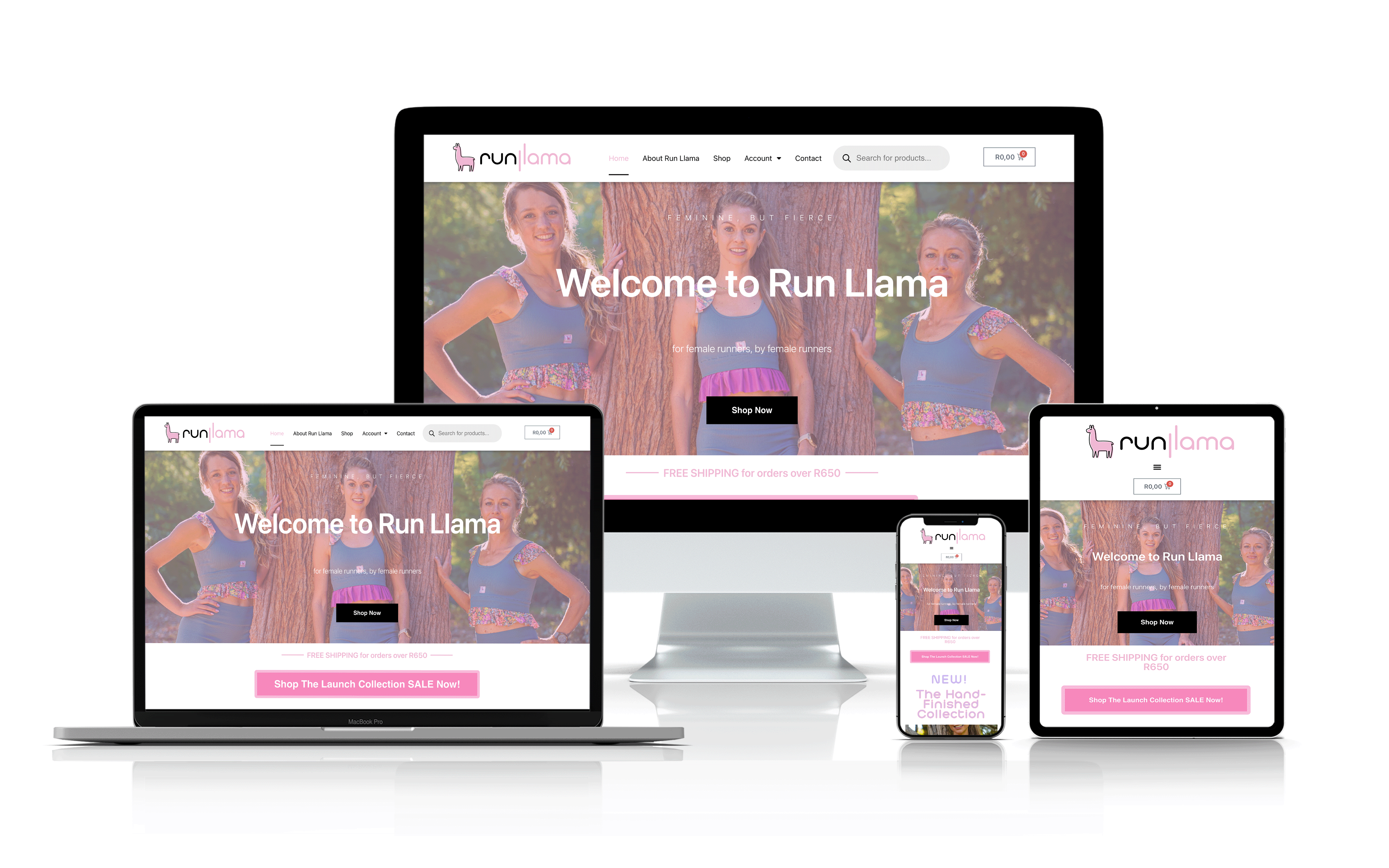 Run Llama Mock up