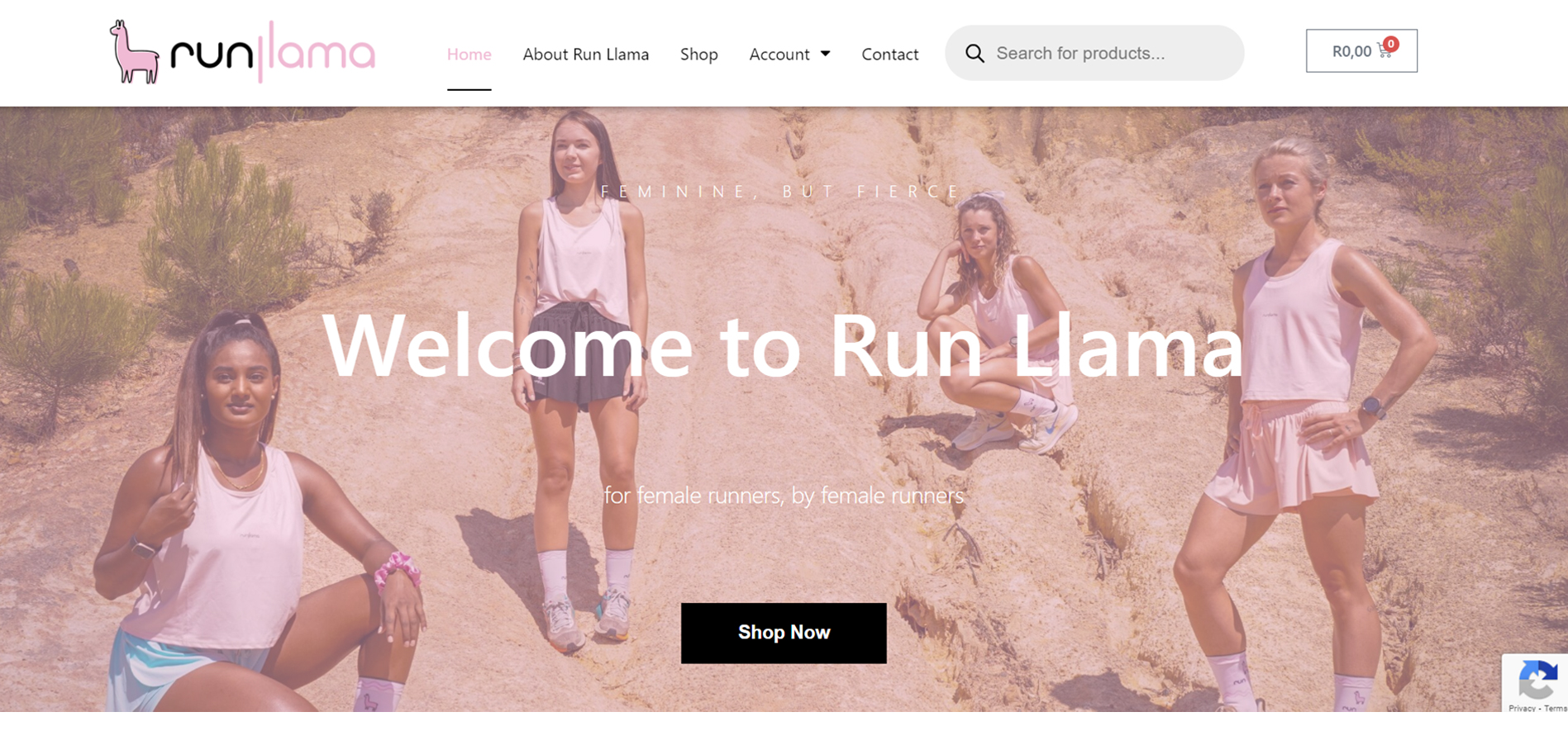 runllama-newfinal